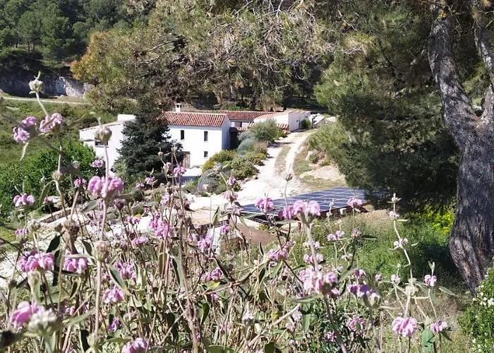 Morenas Séjour à la campagne *