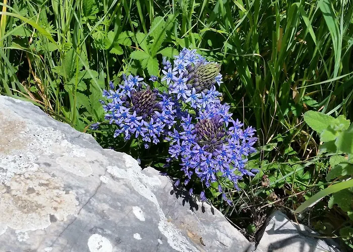 Séjour à la campagne Morenas *